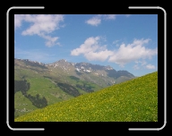 DSC04848 * 800 x 600 * (67KB)