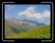 DSC04850 * 800 x 600 * (64KB)