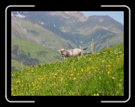 DSC04852 * 800 x 600 * (94KB)