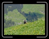 DSC04854 * 800 x 600 * (104KB)