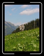 DSC04855 * 600 x 800 * (84KB)