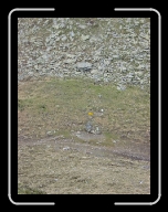 DSC04879 * 600 x 800 * (117KB)