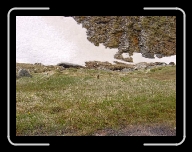 DSC04887 * 800 x 600 * (124KB)