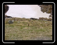 DSC04889 * 800 x 600 * (112KB)