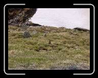 DSC04890 * 800 x 600 * (114KB)