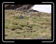 DSC04891 * 800 x 600 * (147KB)