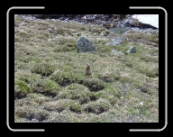 DSC04892 * 800 x 600 * (156KB)