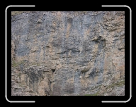 DSC04905 * 800 x 600 * (124KB)