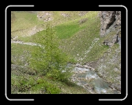 DSC04907 * 800 x 600 * (138KB)