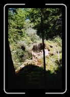 000_1 * 533 x 800 * (115KB)