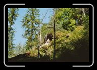 003_4 * 800 x 533 * (119KB)