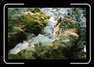 009_10 * 800 x 533 * (90KB)