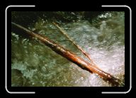 010_11 * 800 x 533 * (64KB)