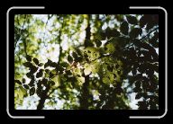 012_13 * 800 x 533 * (84KB)