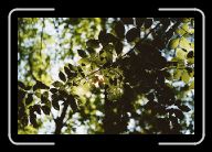 014_15 * 800 x 533 * (81KB)