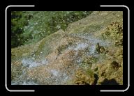 018_19 * 800 x 533 * (96KB)