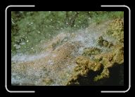 019_20 * 800 x 533 * (87KB)