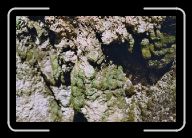 020_21 * 800 x 533 * (104KB)