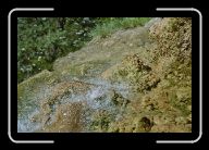 023_24 * 800 x 533 * (100KB)