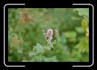 025_26 * 800 x 533 * (41KB)