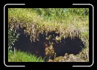 027_28 * 800 x 533 * (126KB)