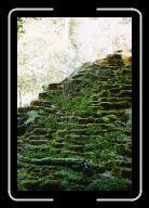 029_30 * 533 x 800 * (83KB)