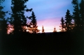 1994Froson2