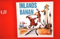 1993Inlandsbanan