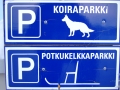 DSCF1902