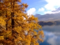2006Silsersee