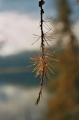 2006Engadin5