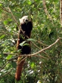 2006Zoo4