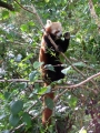 2006Zoo