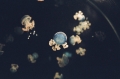 20830025
