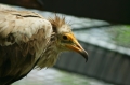 IMG_5573